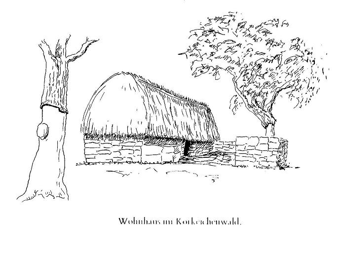 Korkeichen